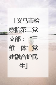 义马市检察院第二党支部：“三维一体”党建融合护民生