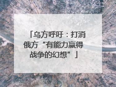 乌方呼吁：打消俄方“有能力赢得战争的幻想”