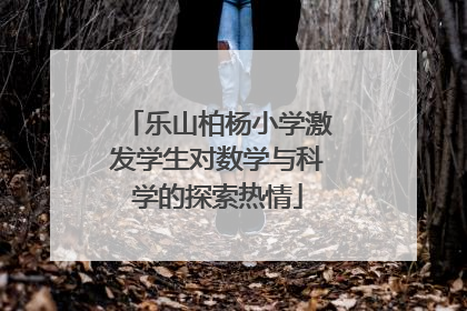 乐山柏杨小学激发学生对数学与科学的探索热情