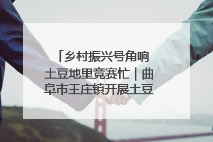 乡村振兴号角响 土豆地里竞赛忙｜曲阜市王庄镇开展土豆收获劳动竞赛