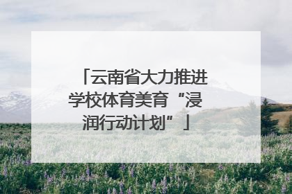 云南省大力推进学校体育美育“浸润行动计划”