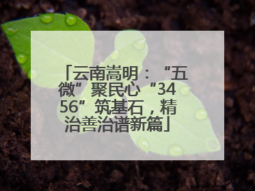 云南嵩明：“五微”聚民心“3456”筑基石，精治善治谱新篇