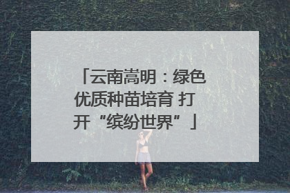 云南嵩明：绿色优质种苗培育 打开“缤纷世界”