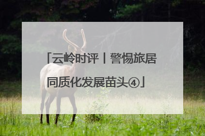 云岭时评丨警惕旅居同质化发展苗头④