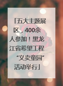 五大主题展区，400余人参加！黑龙江省希望工程“义卖童园”活动举行