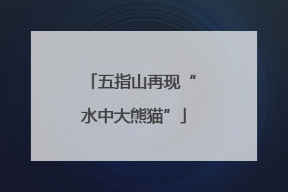 五指山再现“水中大熊猫”