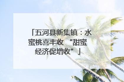 五河县新集镇：水蜜桃喜丰收 “甜蜜经济促增收”