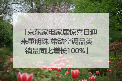 京东家电家居惊喜日迎来董明珠 带动空调品类销量同比增长100%