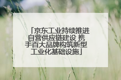 京东工业持续推进自营供应链建设 携手百大品牌构筑新型工业化基础设施