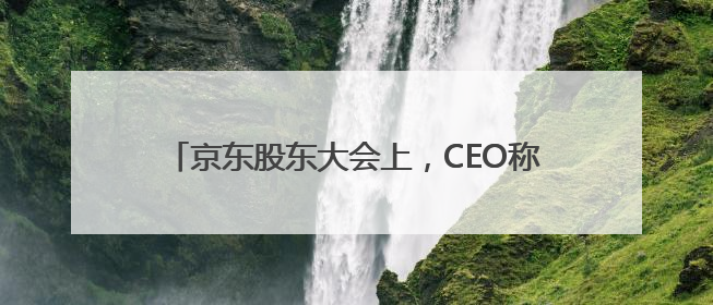 京东股东大会上，CEO称“今天用国补下了一单”