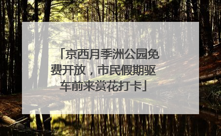 京西月季洲公园免费开放，市民假期驱车前来赏花打卡