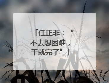 任正非：“不去想困难，干就完了”