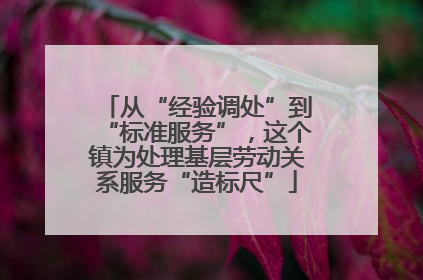 从“经验调处”到“标准服务”，这个镇为处理基层劳动关系服务“造标尺”