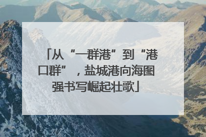 从“一群港”到“港口群”，盐城港向海图强书写崛起壮歌