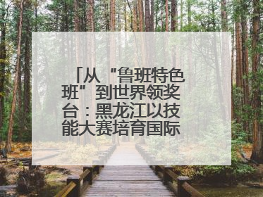 从“鲁班特色班”到世界领奖台：黑龙江以技能大赛培育国际级工匠人才