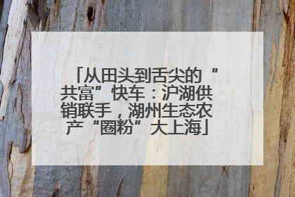 从田头到舌尖的“共富”快车：沪湖供销联手，湖州生态农产“圈粉”大上海