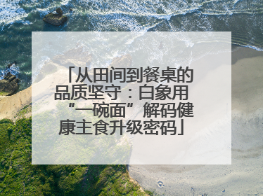 从田间到餐桌的品质坚守：白象用“一碗面”解码健康主食升级密码