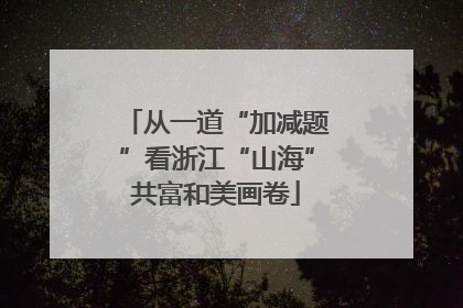 从一道“加减题”看浙江“山海”共富和美画卷