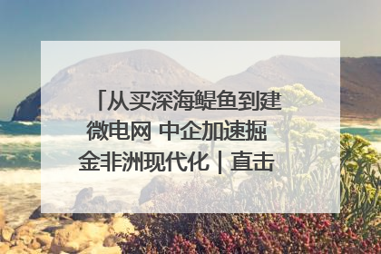 从买深海鳀鱼到建微电网 中企加速掘金非洲现代化｜直击中非经贸博览会