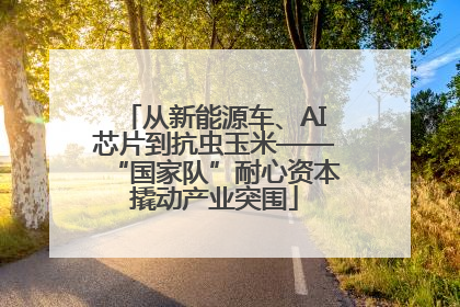 从新能源车、AI芯片到抗虫玉米——“国家队”耐心资本撬动产业突围