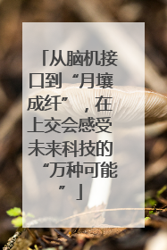 从脑机接口到“月壤成纤”，在上交会感受未来科技的“万种可能”