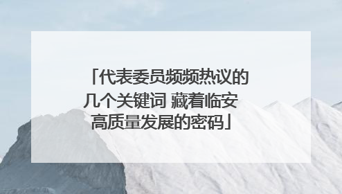 代表委员频频热议的几个关键词 藏着临安高质量发展的密码