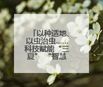 以种适地、以虫治虫……科技赋能“三夏” “智慧种地”绘就好“丰”景