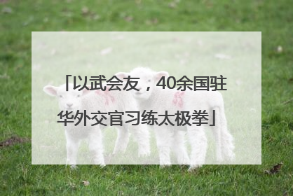 以武会友，40余国驻华外交官习练太极拳