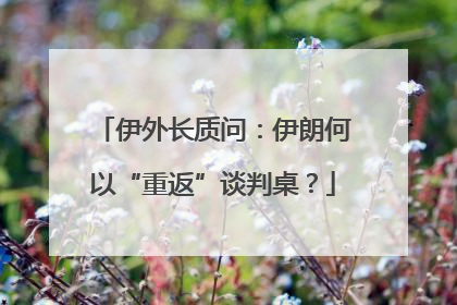 伊外长质问：伊朗何以“重返”谈判桌？