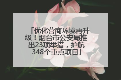 优化营商环境再升级！烟台市公安局推出23项举措，护航348个重点项目