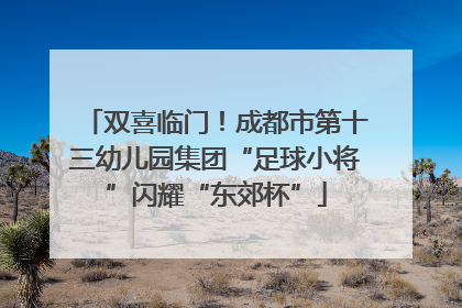 双喜临门！成都市第十三幼儿园集团“足球小将”闪耀“东郊杯”