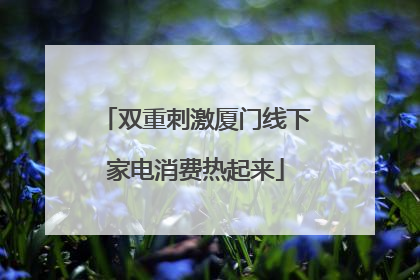 双重刺激厦门线下家电消费热起来