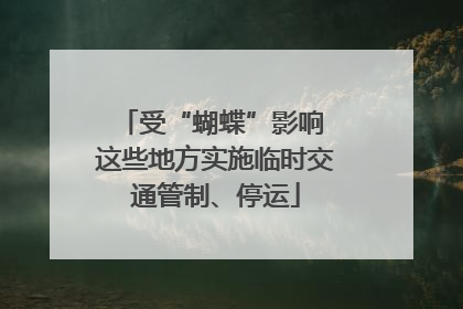 受“蝴蝶”影响 这些地方实施临时交通管制、停运