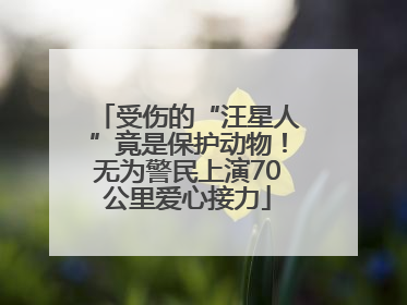 受伤的“汪星人”竟是保护动物！无为警民上演70公里爱心接力