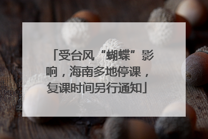 受台风“蝴蝶”影响，海南多地停课，复课时间另行通知