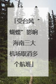受台风“蝴蝶”影响 海南三大机场取消多个航班