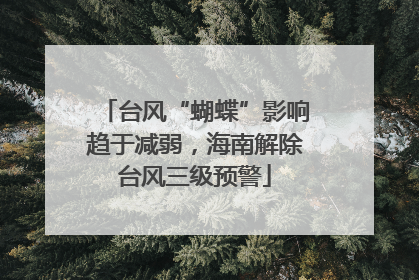 台风“蝴蝶”影响趋于减弱，海南解除台风三级预警