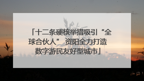 十二条硬核举措吸引“全球合伙人” 资阳全力打造数字游民友好型城市