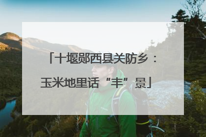 十堰郧西县关防乡：玉米地里话“丰”景