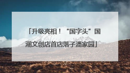 升级亮相！“国字头”国潮文创店首店落子潘家园