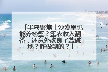 半岛聚焦丨沙漠里也能养螃蟹？蟹农收入翻番，还意外改良了盐碱地？咋做到的？