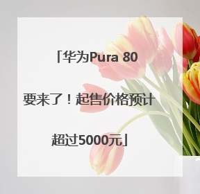 华为Pura 80要来了！起售价格预计超过5000元