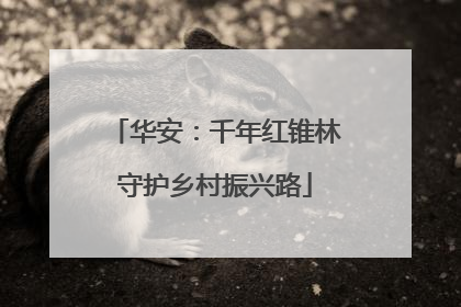 华安：千年红锥林守护乡村振兴路