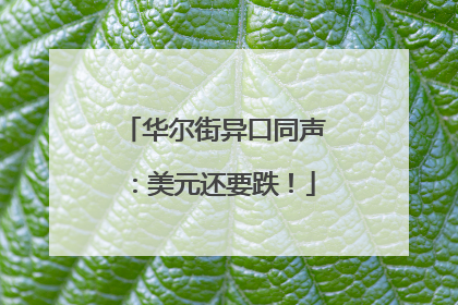 华尔街异口同声：美元还要跌！