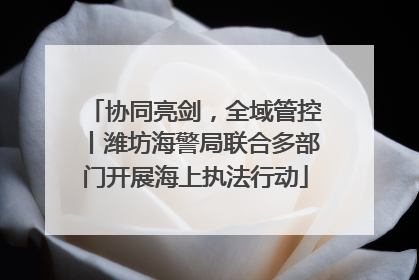 协同亮剑，全域管控丨潍坊海警局联合多部门开展海上执法行动