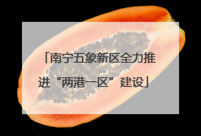 南宁五象新区全力推进“两港一区”建设