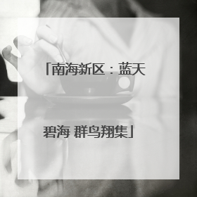 南海新区：蓝天碧海 群鸟翔集