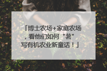 博士农场+家庭农场，看他们如何“薯” 写有机农业新童话！