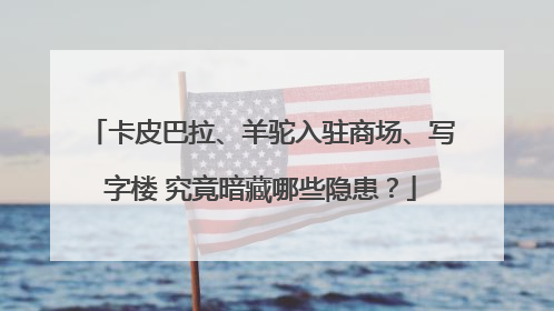 卡皮巴拉、羊驼入驻商场、写字楼 究竟暗藏哪些隐患？