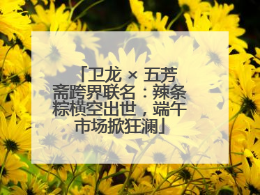 卫龙 × 五芳斋跨界联名：辣条粽横空出世，端午市场掀狂澜